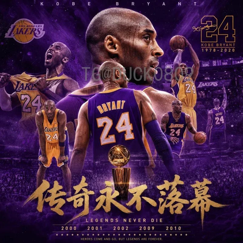 最新2026年美加墨世界杯非洲区名额分配详解与预选赛赛制